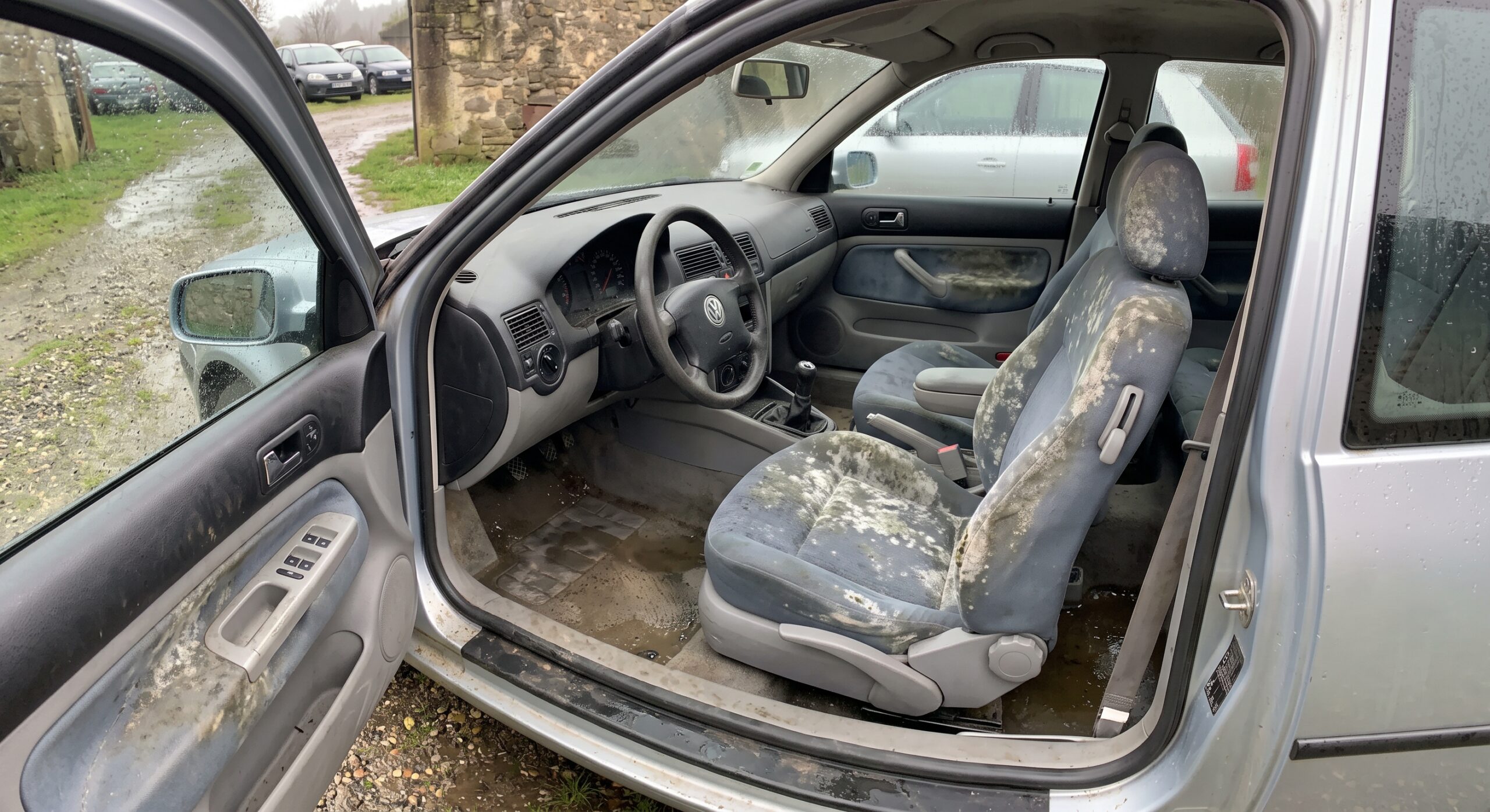 Mold in Your Car