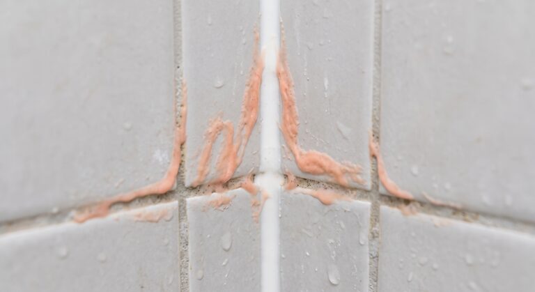 Pink Mold in the Shower: Causes and How to Get Rid of It